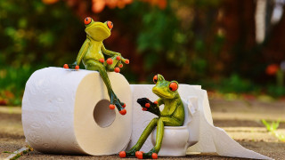 Kostenlose Nutzung unter der Pixabay-Inhaltslizenz